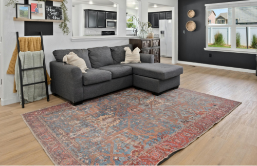 icon Living & Family Room Rugs